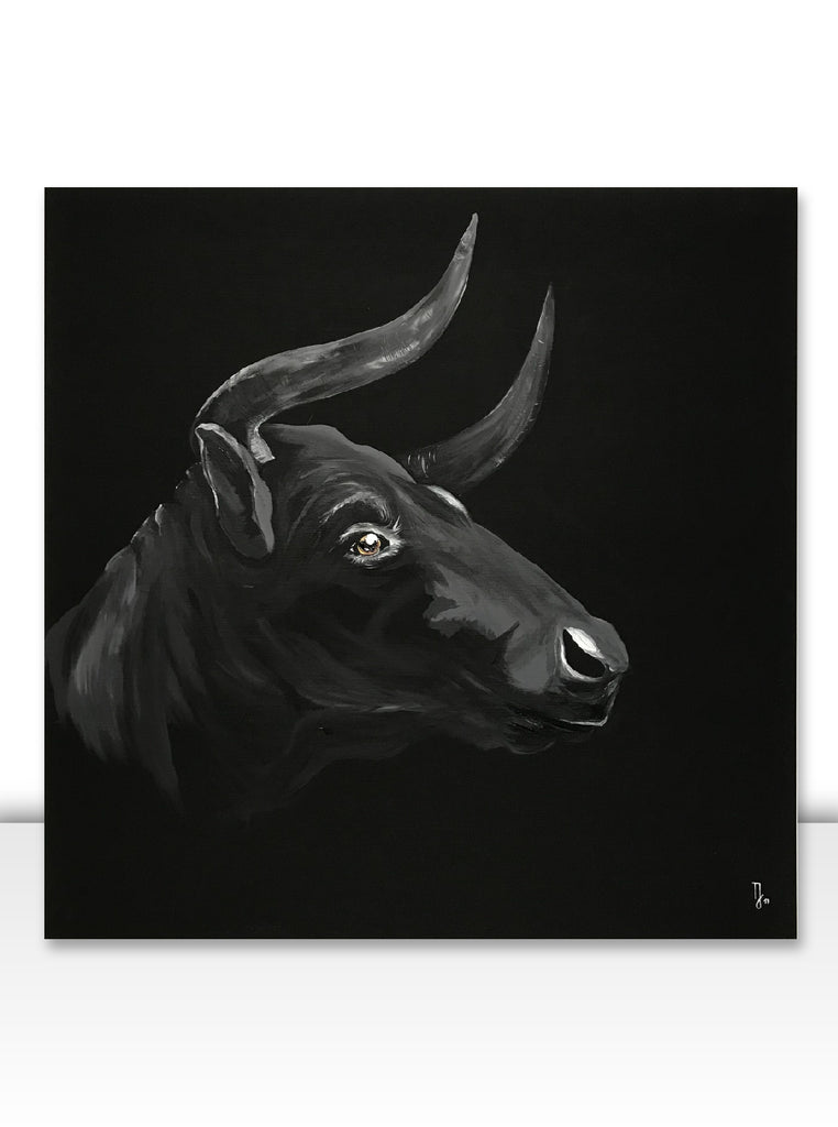 Bull - 80x80cm