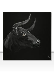 Bull - 80x80cm
