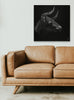Bull - 80x80cm