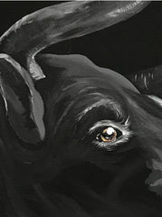 Bull - 80x80cm