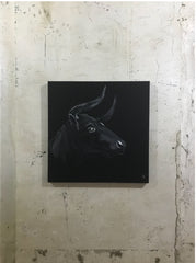 Bull - 80x80cm
